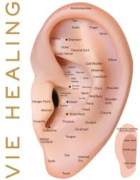 24k gold ear seeds vie healing