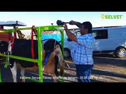 Travay Hayvan Tirnak Kesme Makinasi Youtube