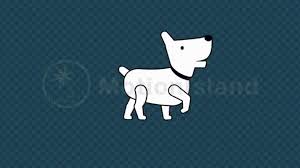 Pin On After Effects Template Animation
