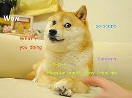 The text, representing a kind of internal monologue, is deliberately written in a form of broken english. Doge Meme Wikipedia
