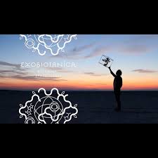 Image result for Exotheca