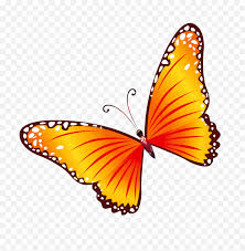 Get stunning butterfly, free clipart images with transparent background in png format. Moving Clipart Butterfly Transparent Free Butterfly Clipart Png Free Transparent Png Images Pngaaa Com