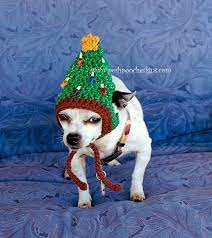 Christmas Tree Dog Hat Crochet Pattern Crochet Dog Hat Dog Hat Crochet Pattern Crochet Dog Hat Pattern
