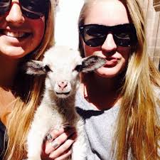 Emily Brash (@thenamesbrash)