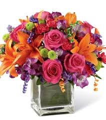 Pin On Mclean S Seasonal Holiday Flowers