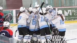 Ice hockey livescore service on livescore.in provides bettors and hockey fans with. Vermont H S Playoff Scores Schedules For Wednesday March 17