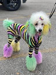 Opawz Semi Permanent Dye Creative Grooming Dog Dye Puppy Grooming