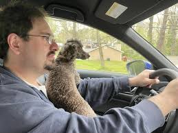 Memories of Carl Johann Sego