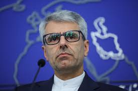 Ministry of Foreign Affairs of the Islamic Republic of Iran- Iranian  Foreign Ministry spokesman extends sympathies to families of Azerbaijan  plane crash victims