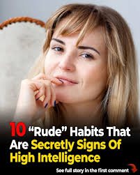 1993- The Velvet Year