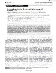 Image result for Acalypha caperonioides