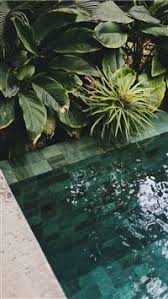 Best Pool Iphone Wallpapers Hd 2020 Ilikewallpaper See more attractive life wallpapers, life wallpapers, life good wallpaper, outdoor life wallpaper, wallpaper wildlife looking for the best life is strange wallpaper?