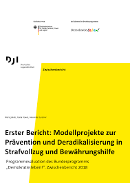 Maybe you would like to learn more about one of these? Pdf Modellprojekte Zur Pravention Und Deradikalisierung In Strafvollzug Und Bewahrungshilfe Programmevaluation Des Bundesprogramms Demokratie Leben Zwischenbericht 2018