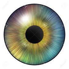 目の虹彩。人間の虹彩。目のイラスト。白い背景に色とりどりの目。クリエイティブなデジタルグラフィックデザイン。の写真素材・画像素材 Image  189273777