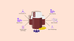 How much coq10 should i take for fertility. 5 Best Coq10 Supplements And Brands For Fertility For 2021
