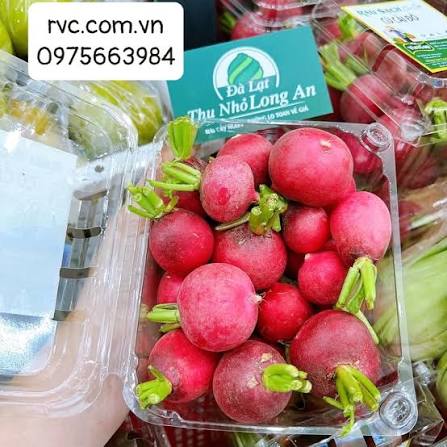 Hop nhua trai vay 500g gia tot tai HCM