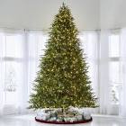The World's Best Prelit Fraser Fir
