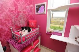 Daycare includes feeding and individual play times to ensure everyone returns home ready to snuggle! How To Start A Cat Hotel