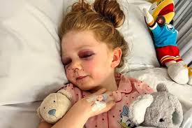 Wakefield teenager completes Yorkshire Three Peaks hike to raise money for  charity that supported his seriously injured sister