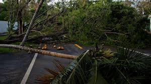 Irma Swiftly Lays Claim To Florida S Sea Of Trees The New York Times