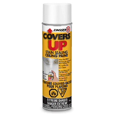 24/7 project support · estimates in minutes · 34,000+ daily requests Covers Up Stain Sealing Ceiling Paint Spray 454 G White Lowe S Canada