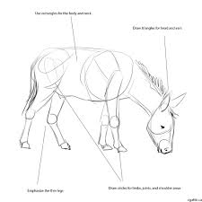 Realistic Donkey Drawing In 4 Steps With Photoshop Donkey Drawing Horse Drawings Animal Drawings
