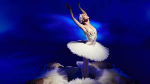 Stream russian ballerina by michelle gurevich from desktop or your mobile device. Swan Lake 2018 2019 Dutch National Opera Ballet