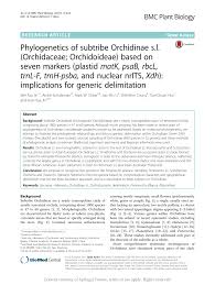 Image result for Platycoryne affinis