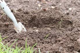 Für viele gärtner gehört das kalken des rasens im frühjahr oder herbst deshalb ebenso zur rasenpflege, wie düngen, mähen und vertikutieren.tatsächlich sollte man vor dem ausbringen von kalk auf der rasenfläche aber sehr genau prüfen, ob das rasen kalken wirklich eine gute idee ist. Gartenkalk Ausbringen Wann Und Wie Anwendung Von Rasenkalk Gartenlexikon De