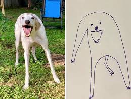 Haters say my videos are comedy, parody, and that i actually draw really badly. Rubbish Dog Drawing Wins Contest Over Artist S Drawing Unilad