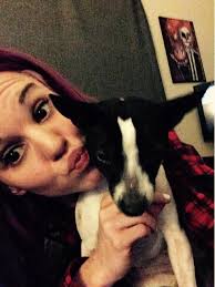 Rat Terrier pet owners sharing photos and experiences