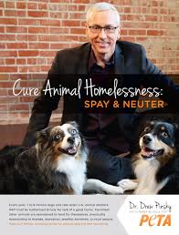 Drew is a practicing physician who is board certified in internal and addiction medicine, sill runs a private practice, is on staff at huntington memorial hospital and is assistant. Dr Drew S Cure For Animal Homelessness Peta