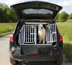 Our pet taxi can collect you from an address of. 7 Most Asked Questions And Their Answers About Pet Transport