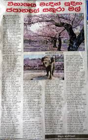 Sinhala Aricles Window To Nature