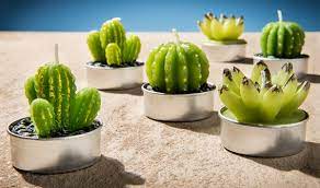 All orders are custom made and most ship worldwide within 24. Cactus T Light Set Set Of Six Tea Lights Styled Like Cactuses