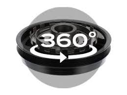 Image result for Pimpinella sp. A. of FZ 4: 594