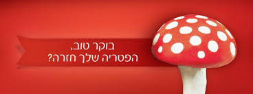 בוקר טוב, הפטריה שלך חזרה?