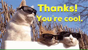 The best gifs are on giphy. Cat Sunglasses Gifs Get The Best Gif On Giphy