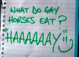 The Gay Horse Joke – DP Quiz Live