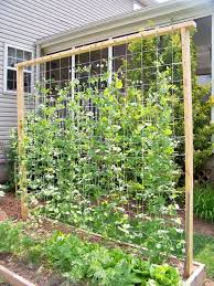 5% coupon applied at checkout save 5% with coupon. Bildergebnis Fur Spalier Garten Tradgardsplanering Tradgardsprojekt Inredning Tradgard