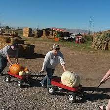 Maybe you would like to learn more about one of these? The 10 Best Things To Do In Springville 2021 With Photos Tripadvisor