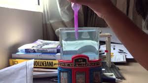 They will enjoy the ride and it will give them a breath of fresh air. How To Clean Your Exterior Of Yor Sea Monkey Tank Youtube