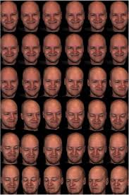 Image result for Elfenbein 1986 Fleet