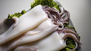 Tidak melulu yang mahal, namun kamu tahu bagaimana cara mengolah makanan itu sehingga lebih sehat. 8 Resep Masakan Seafood Cumi Sederhana Dan Sehat Hot Liputan6 Com