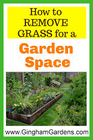 How big to make a raised garden bed. Pin On Tips For Beginning Gardeners