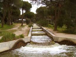 Maybe you would like to learn more about one of these? Bosque De La Dehesa De Navalcarbon Infosierrademadrid Es