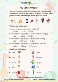 Cbse class 2 study materials. 8 Aps Ideas Worksheets For Class 1 Worksheet For Class 2 Worksheets For Grade 3