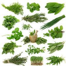 We are also ensuring that our nourishing herbs are able to penetrate deeply into our scalp. Herbs For Natural Hair 10 Of The Best Herbs For Hair Growth Flora Curl Haircare