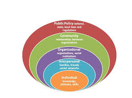 Social Ecological Model Sem Health And Wellness Health Literacy Infographic Health