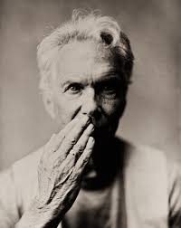 Historic Chicago fire stereoscopic glass plates found